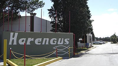 Das Neves confirmo que a fin de mes se reabre la empresa ex Harengus en Madryn