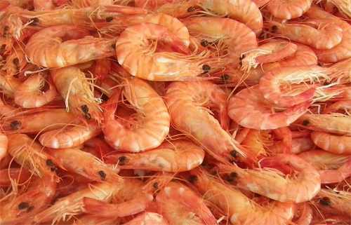 CAPITANES DE PESCA SOLICITA AL #CFP SE CONSIDERE EL CIERRE DE LA TEMPORADA DE #LANGOSTINO CON TANGONES EN AGUAS NACIONALES