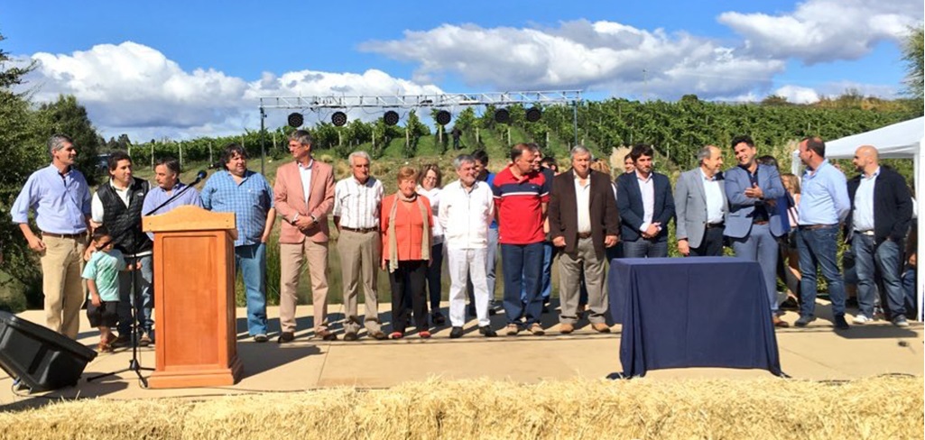 Chubut se suma a las  provincias vitivinícolas