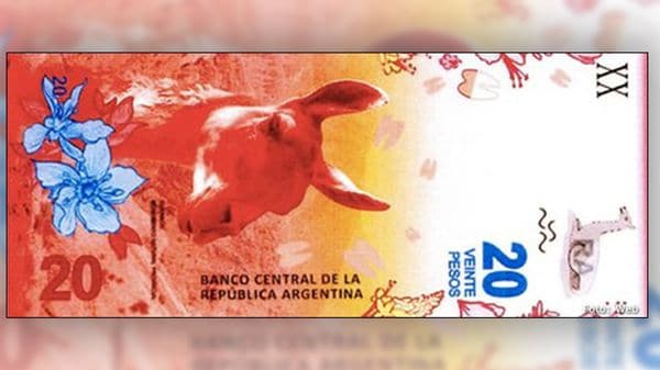 El nuevo billete de $20 tendrá un guanaco y será el de menor denominación