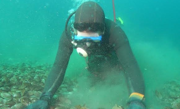 Marea Roja: Pesca vedó la extracción de moluscos en jurisdicción provincial del litoral marítimo del Golfo San Jorge