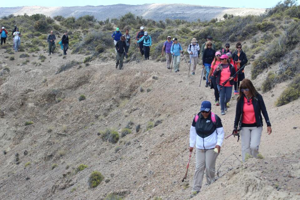 Empadronamiento de actividades deportivas aranceladas