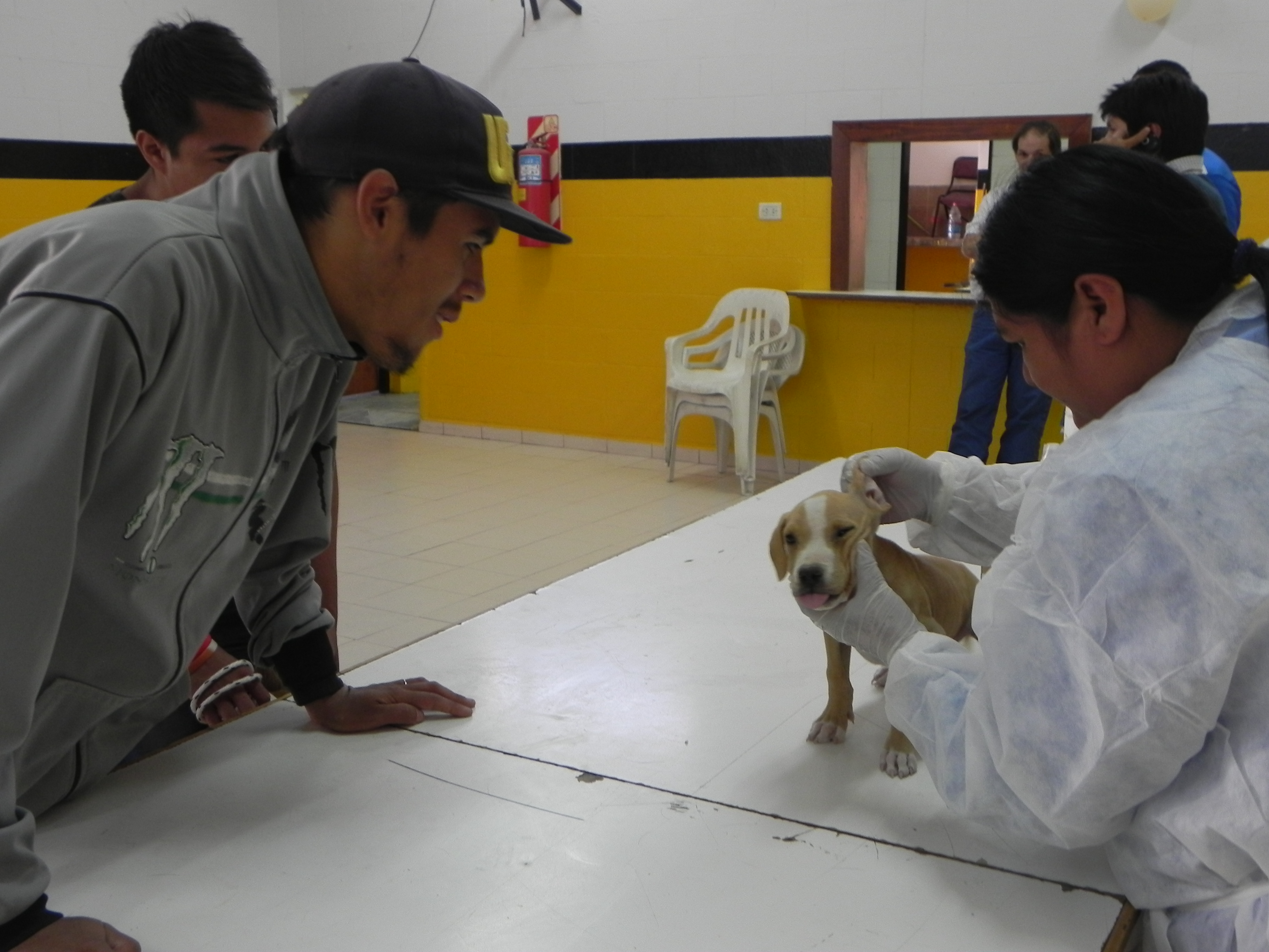 Campaña de vacunación gratuita de mascotas en el Barrio Galina