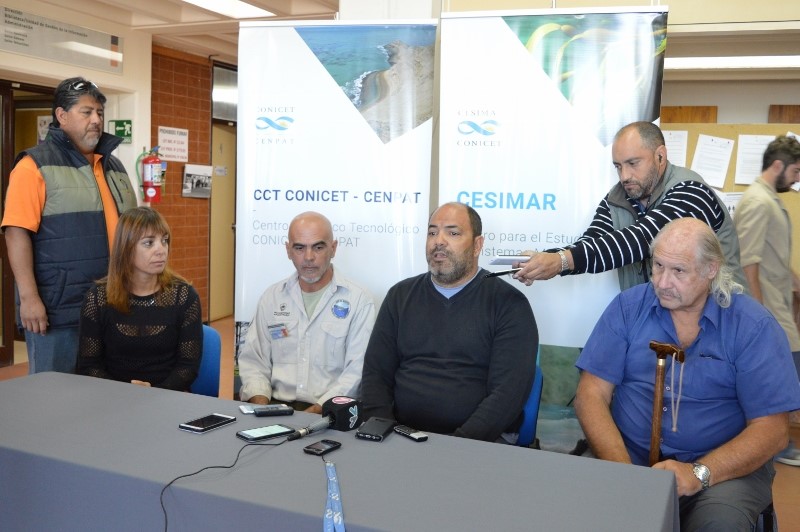 Varamiento masivo de delfines en Puerto Madryn: científicos del CONICET participaron del rescate de 19 ejemplares