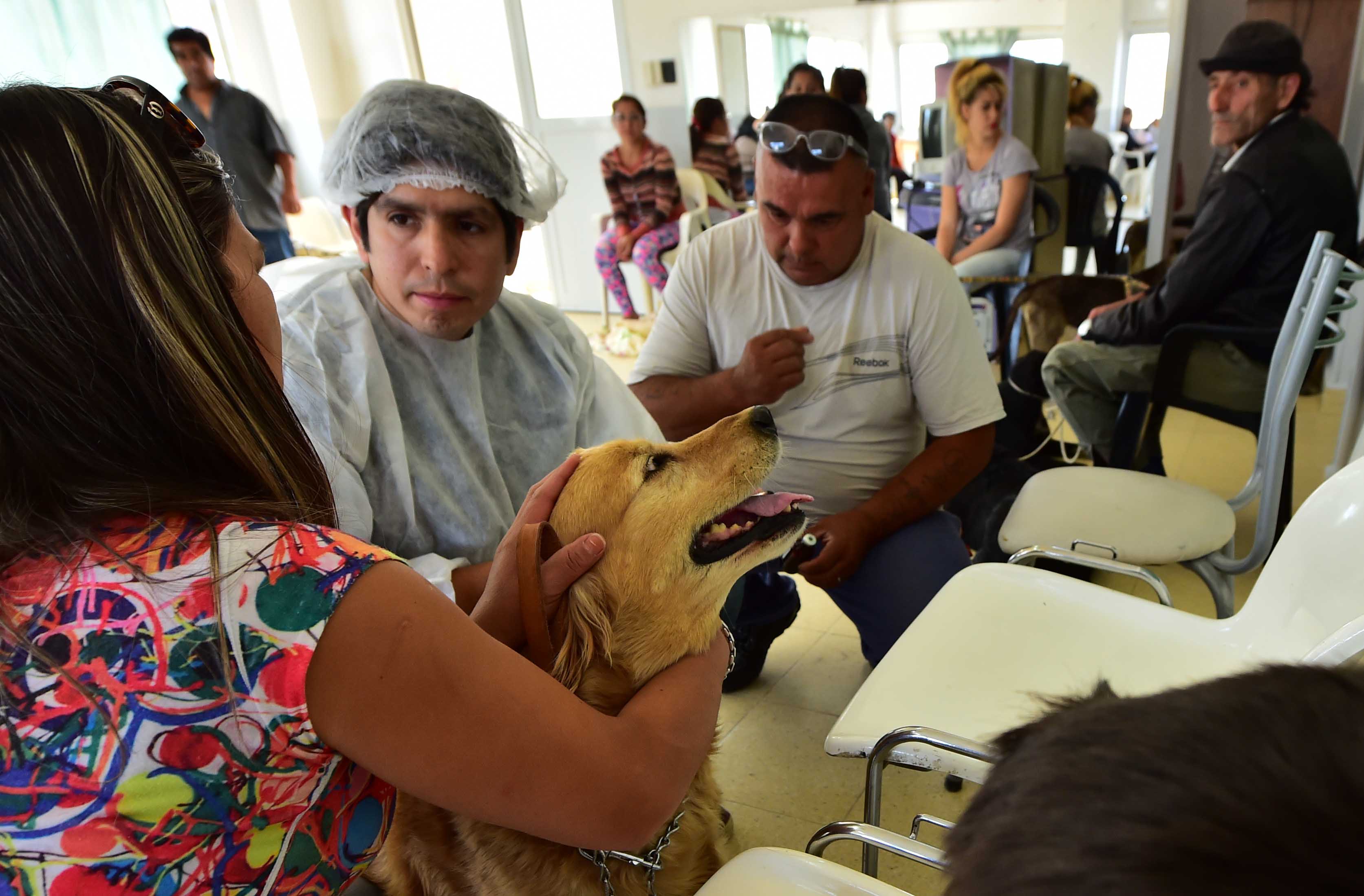 Continúan las vacunaciones y castraciones gratuitas para mascotas en los barrios