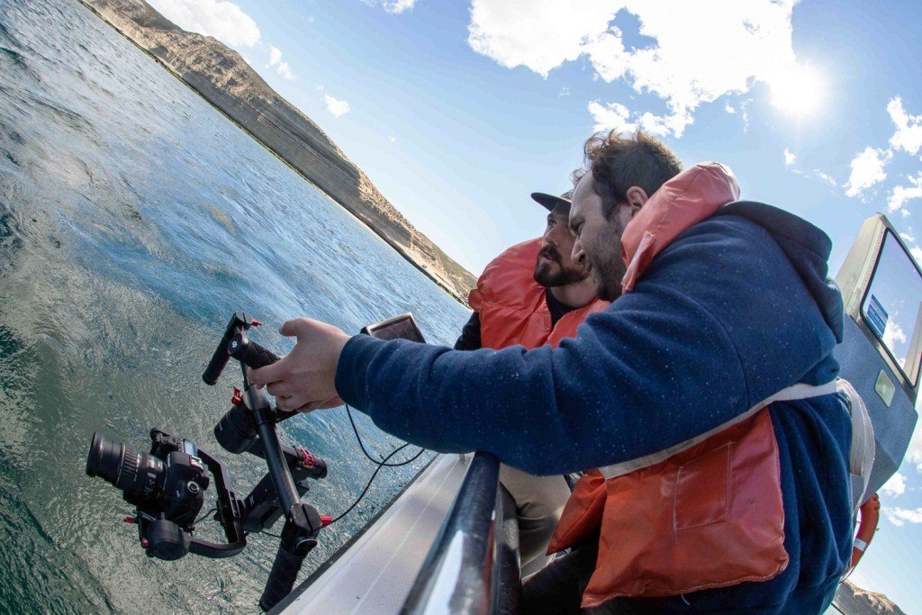 Periodistas de medios digitales recorren la Comarca Península Valdés