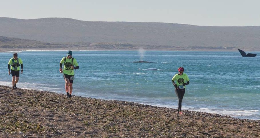 Cuarta edición de la carrera “Aventura Franca Austral”