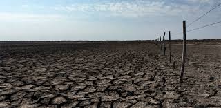 Presentación de las estrategias sobre los ejes hábitat, resiliencia y cambio climático