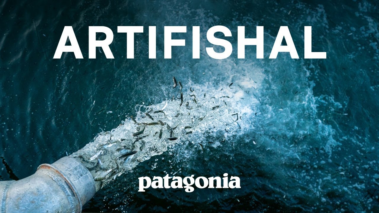 “Artifishal se estrenará en Puerto Madryn para seguir alertando sobre los riesgos de la salmonicultura”
