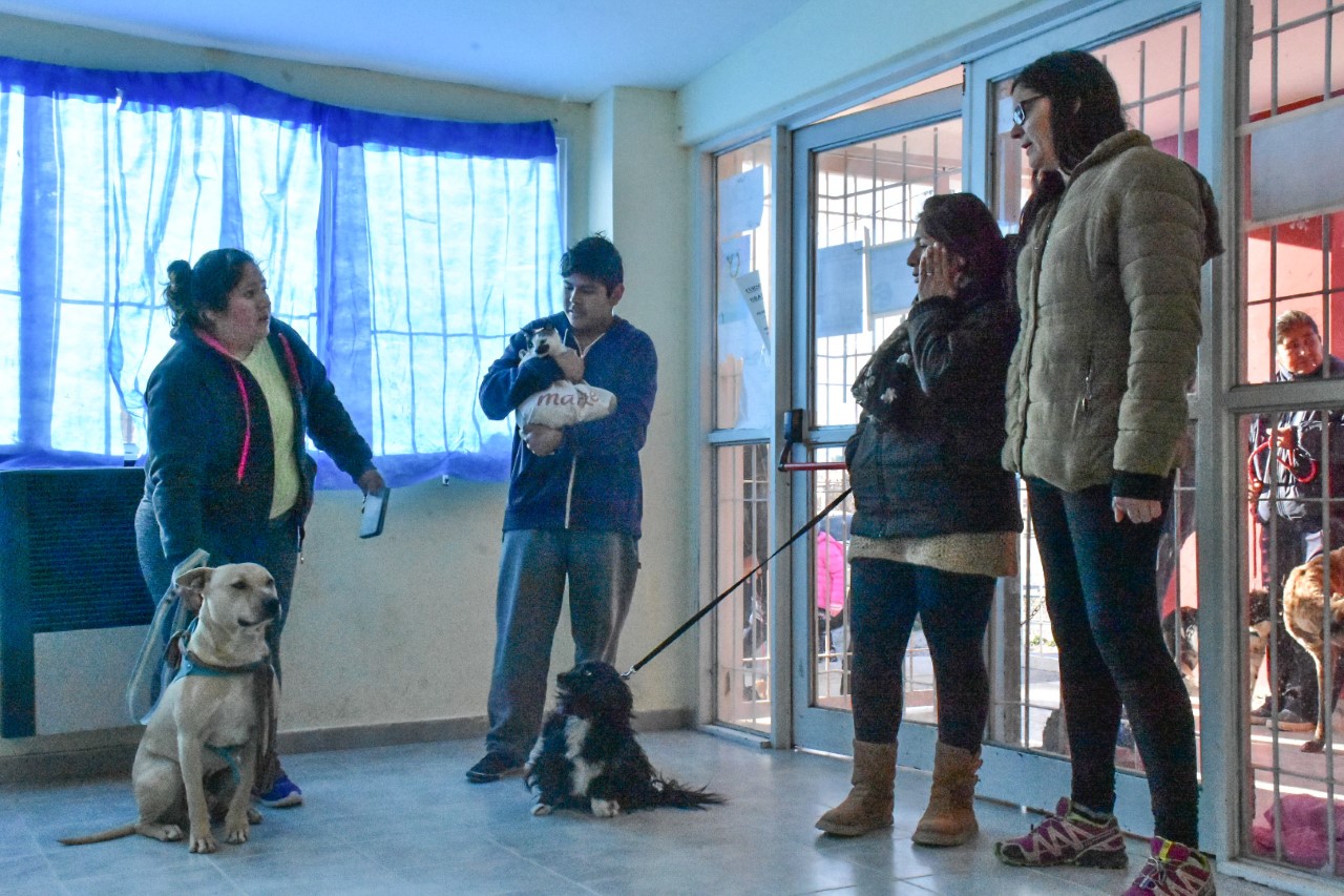 Continúan las campañas de vacunación antirrábica en la sede del barrio Solana de la Patagonia