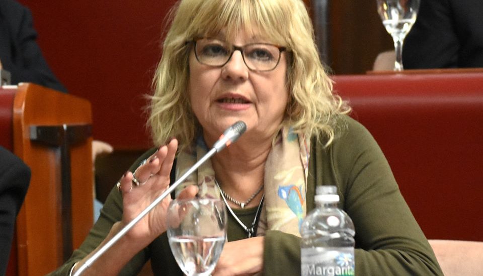 Se aprobó la ley contra el maltrato animal