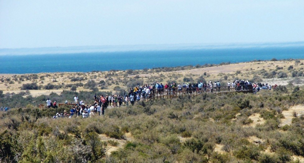Península Valdés y Punta Tombo desbordaron de turistas en la primera jornada de 2020