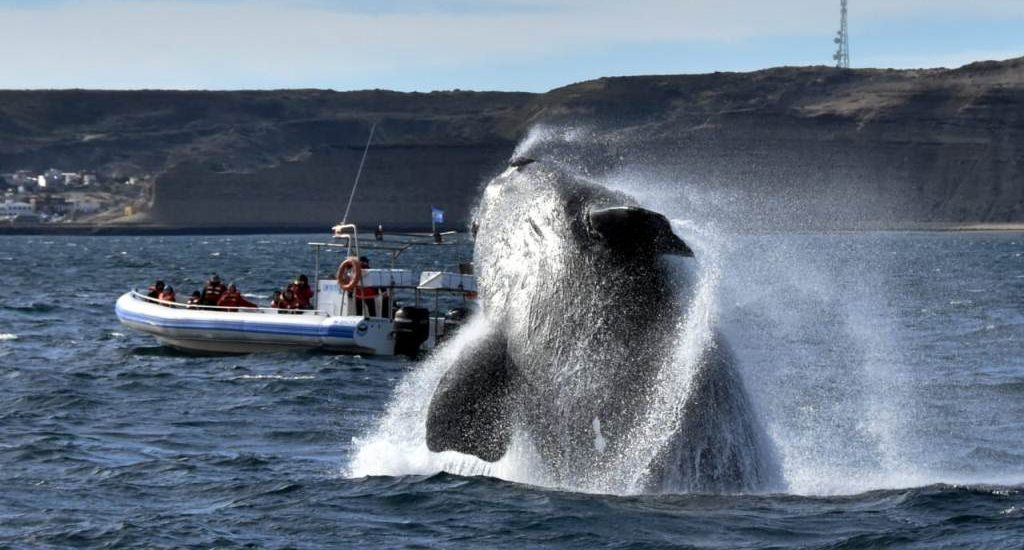 EL MINISTERIO DE TURISMO TRABAJA PARA ABRIR LAS TEMPORADAS EN TODO CHUBUT