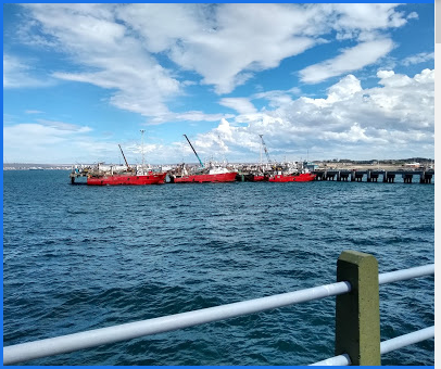 CHUBUT: SE REHABILITÓ EL NORMAL FUNCIONAMIENTO DE TODOS LOS PUERTOS