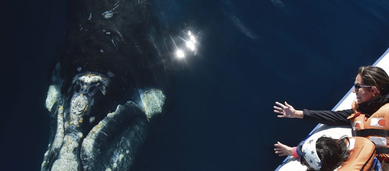 EXITOSO CONCURSO FOTOGRÁFICO “NATURALEZA SIN LÍMITES”
