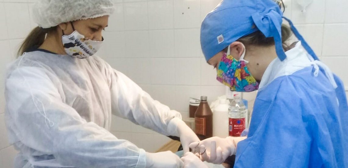 SE REALIZAN CASTRACIONES POR TURNOS EN EL PARQUE CANINO