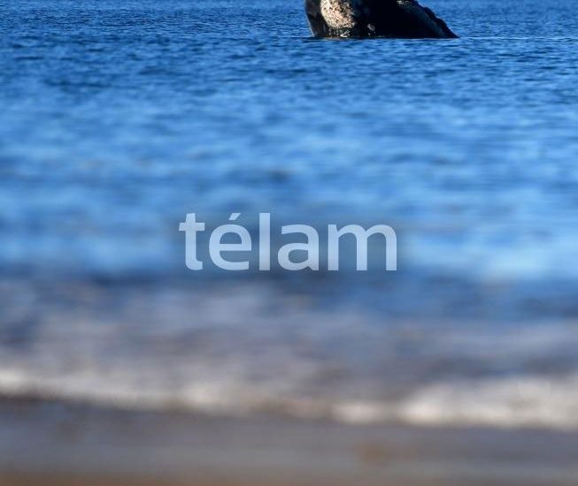 BUENOS AIRES: LOGRAN IDENTIFICAR MÁS DE CIEN BALLENAS QUE TIENEN SUS CRÍAS TANTO EN BRASIL COMO PENÍNSULA VALDÉS