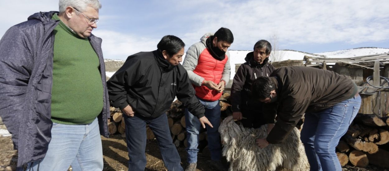 EL GOBIERNO PROVINCIAL REALIZA OTRA ENTREGA DE LEÑA A PRODUCTORES DE CUSHAMEN AFECTADOS POR LA CONTINGENCIA CLIMÁTICA