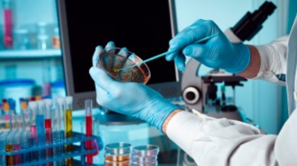 CIENTÍFICOS ARGENTINOS DETERMINARON POR QUÉ EL CORONAVIRUS EVADE LAS RESPUESTAS INMUNES