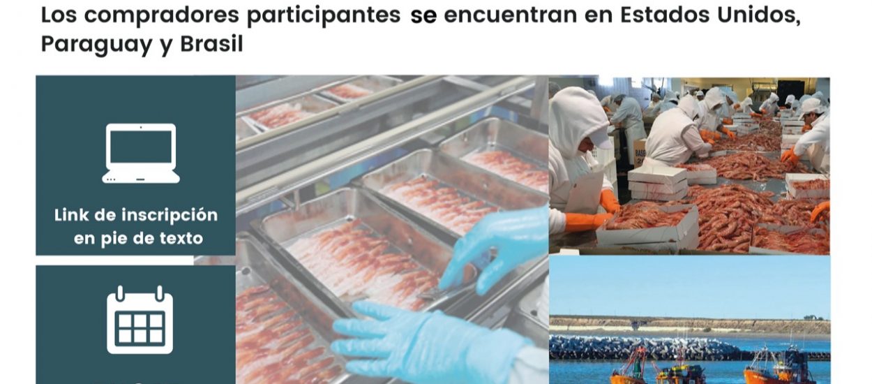 EL GOBIERNO DEL CHUBUT INVITA A LA “RONDA DE NEGOCIOS VIRTUAL E INTERNACIONAL DE PESCA”