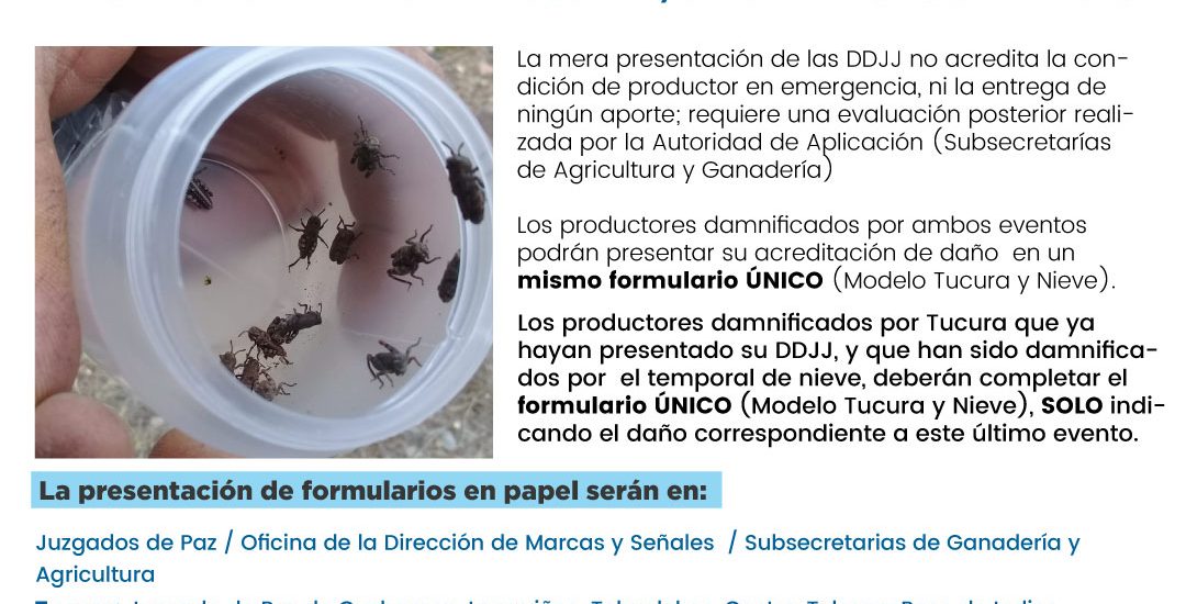 EMERGENCIA AGROPECUARIA: SE INFORMA SOBRE LOS REQUERIMIENTOS PARA COMPLETAR LAS DECLARACIONES JURADAS