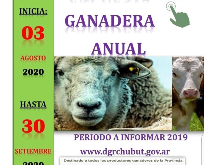 EL GOBIERNO PROVINCIAL LANZA LA ENCUESTA PECUARIA 2020