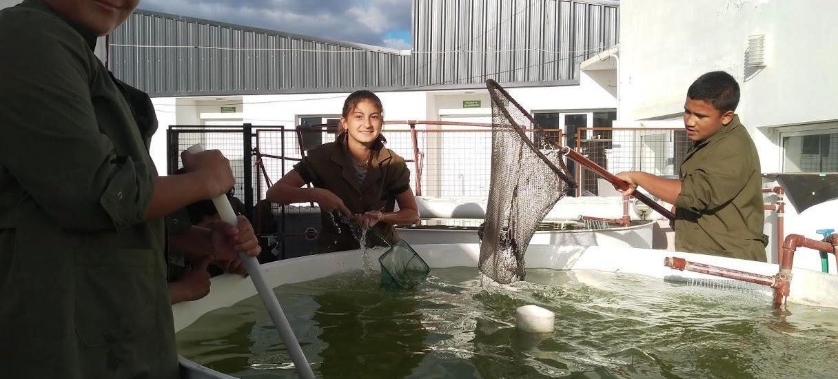 LA ESCUELA MUNICIPAL DE PESCA DE PUERTO MADRYN SIGUE TRABAJANDO EN EL PROYECTO INNOVADOR SOBRE CULTIVOS MULTITRÓFICOS ACUAPÓNICOS