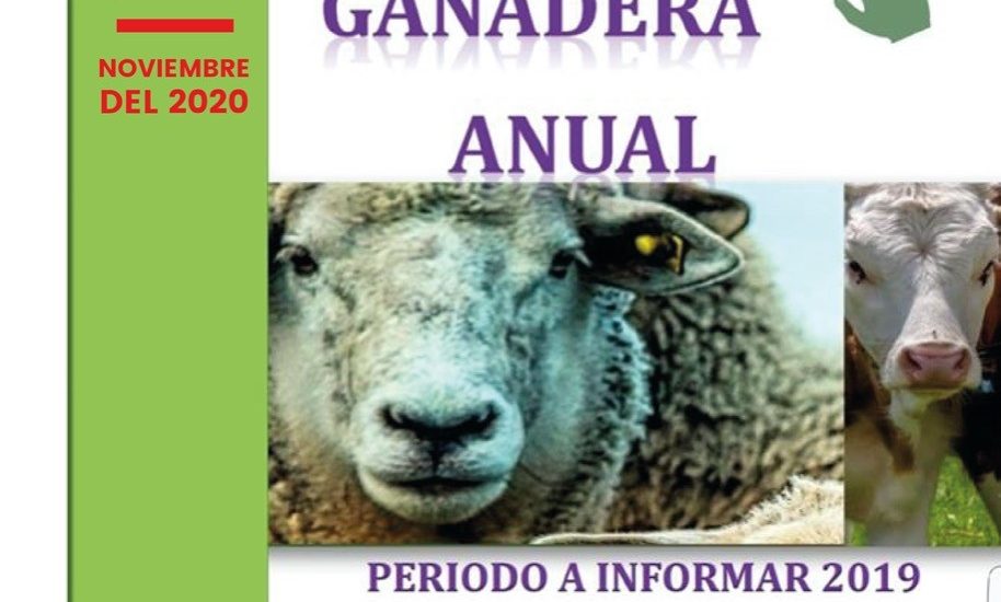 EL GOBIERNO DE LA PROVINCIA EXTIENDE EL PLAZO DE PRESENTACIÓN DE LA ENCUESTA  PECUARIA 2020