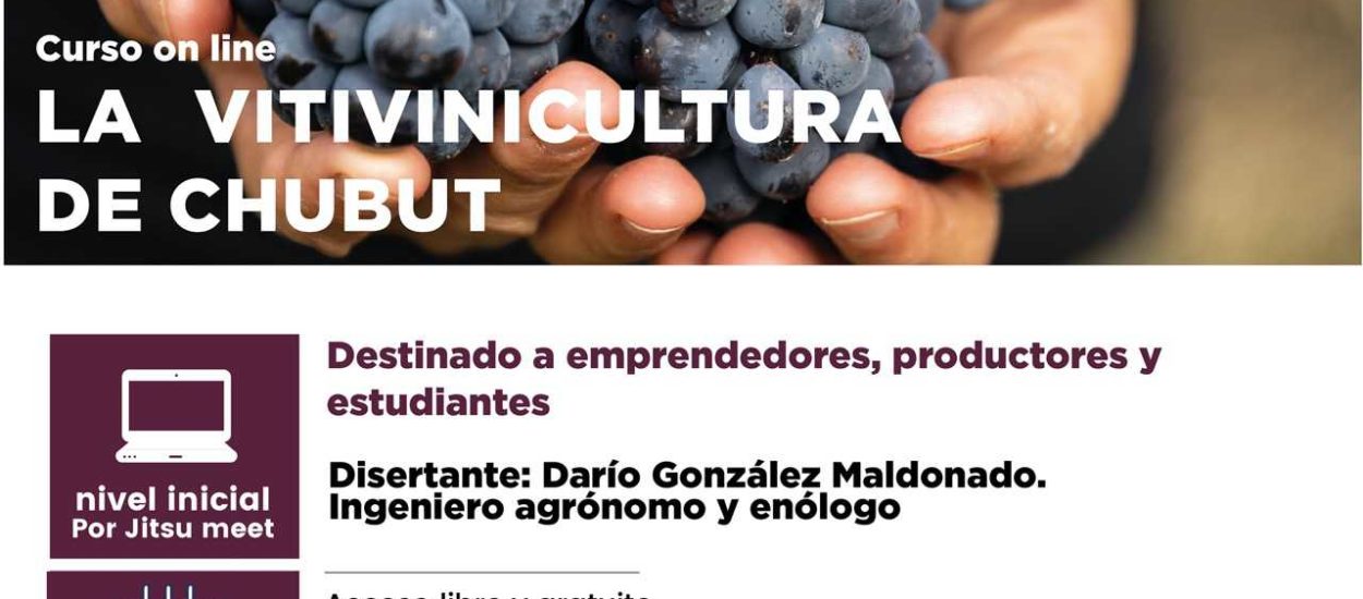 EL MINISTERIO DE AGRICULTURA, GANADERÍA, INDUSTRIA Y COMERCIO  INVITA A CURSO ONLINE DE VITIVINICULTURA