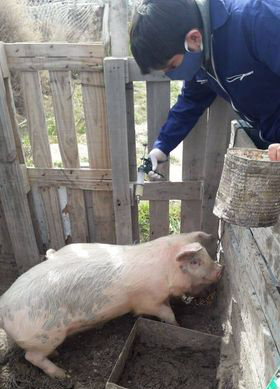 RELEVAMIENTO SOCIOPRODUCTIVO Y VACUNACIÓN DE ANIMALES EN LAS BARDAS