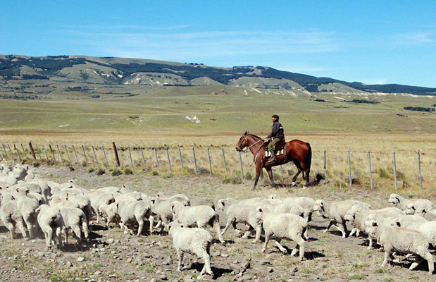 OFICIALIZAN BONO DE FIN DE AÑO PARA LOS TRABAJADORES RURALES