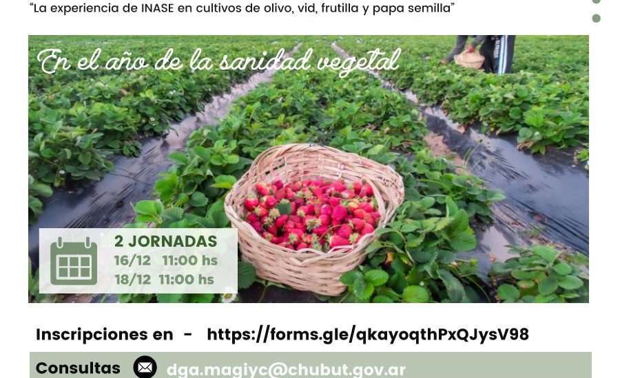 EL GOBIERNO DE LA PROVINCIA JUNTO A INASE CONVOCA A CAPACITACIÓN SOBRE SANIDAD VEGETAL EN CULTIVOS