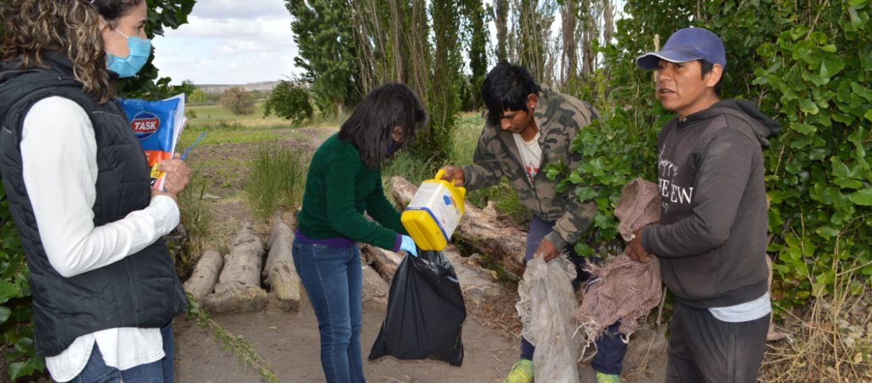 BUENAS PRÁCTICAS AGRÍCOLAS EN CHUBUT: EL GOBIERNO PROVINCIAL ACOPIA TRANSITORIAMENTE ENVASES DE AGROQUÍMICOS EN CHACRAS DEL VIRCH