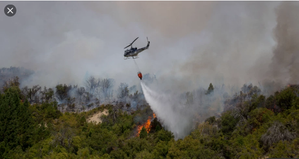 MENNA PIDE LA URGENTE INTERVENCIÓN DEL MINISTERIO DE AMBIENTE EN LOS INCENDIOS CORDILLERANOS