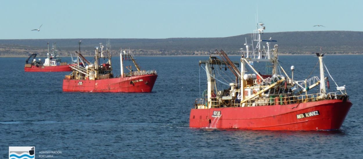 LA ADMINISTRACIÓN PORTUARIA SE PREPARA PARA UNA NUEVA TEMPORADA DE LANGOSTINO EN CONTEXTO DE PANDEMIA