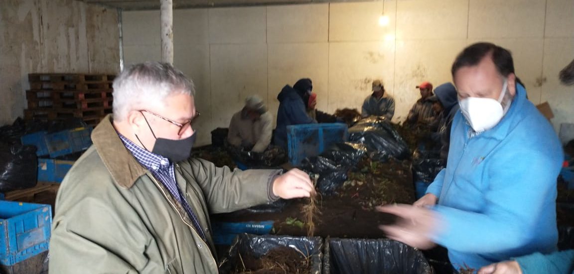 EL GOBIERNO PROVINCIAL ENVIARÁ 10.000 PLANTINES DE FRUTA FINA A PRODUCTORES DAMNIFICADOS POR LOS INCENDIOS