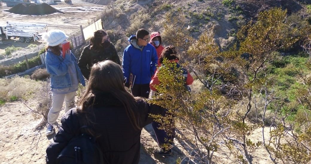 TALLER DEL CENPAT SOBRE BIODIVERSIDAD Y PLANTAS NATIVAS PARA ESTUDIANTES SECUNDARIOS