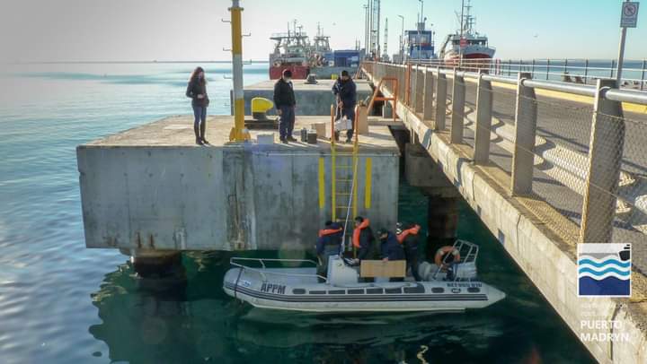 LA ARMADA ARGENTINA REALIZÓ EL MANTENIMIENTO DE LA BALIZA DEL MUELLE PIEDRA BUENA