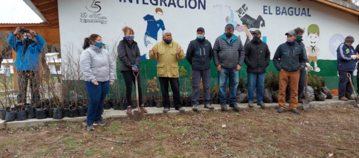 EL GOBIERNO PROVINCIAL Y DIFERENTES INSTITUCIONES REALIZARON UNA EXITOSA JORNADA DE REFORESTACIÓN EN EL MAITÉN