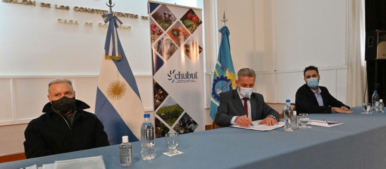 ARCIONI RENOVÓ ACUERDO CON EL MUSEO EGIDIO FERUGLIO PARA CONTINUAR UTILIZANDO ESPACIOS PARA EL TRATAMIENTO, REGISTRO Y CLASIFICACIÓN DE FÓSILES