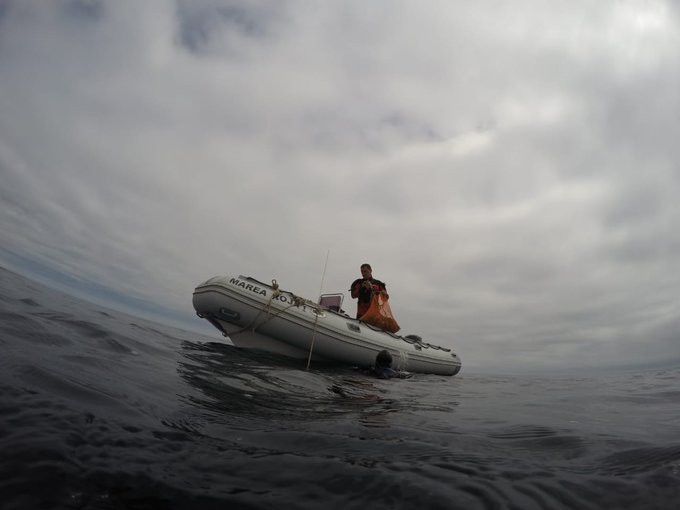 PESCA: SE DISPUSO UNA NUEVA VEDA PARA LA EXTRACCIÓN DE MOLUSCOS Y GASTERÓPODOS EN EL GOLFO NUEVO