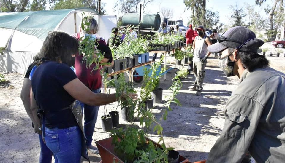 EL VIVERO MUNICIPAL ABRIRÁ SUS PUERTAS AL PÚBLICO