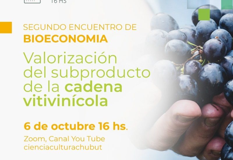 CHUBUT Y RÍO NEGRO REALIZARÁN EL SEGUNDO ENCUENTRO DE “BIOECONOMÍA: VALORIZACIÓN DEL SUBPRODUCTO DE LA CADENA VITIVINÍCOLA”