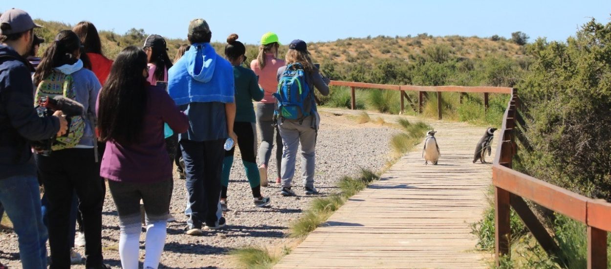 DOCENTES RECORRIERON PUNTA TOMBO EN EL MARCO DE LA CAPACITACIÓN “EDUCACIÓN, VALORACIÓN Y CONSERVACIÓN DE NUESTROS RECURSOS NATURALES”