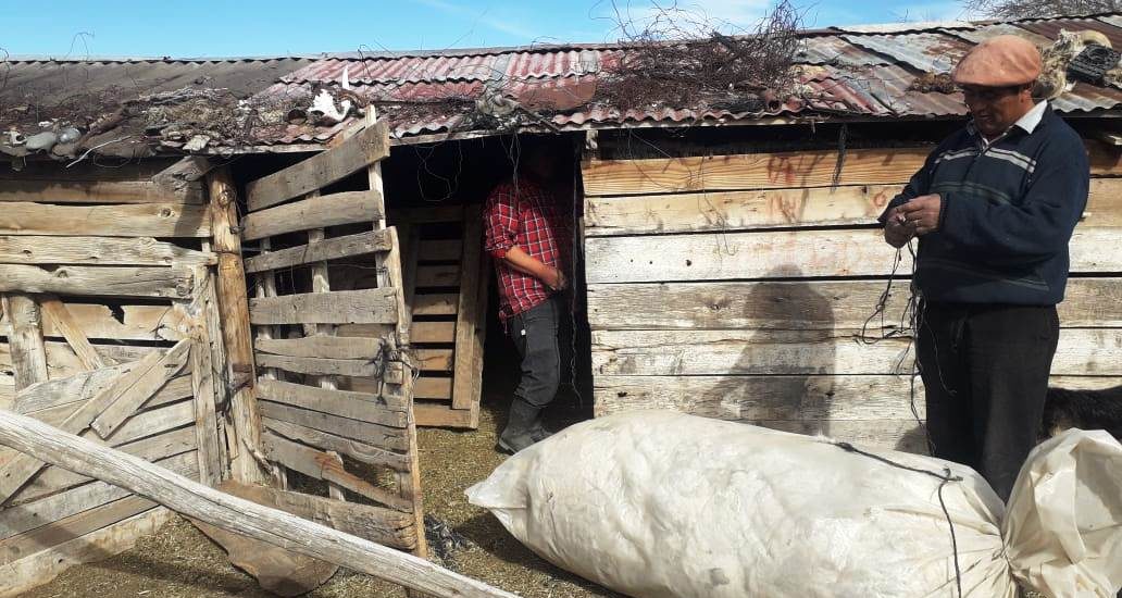 EL GOBIERNO DE LA PROVINCIA ACOMPAÑA A PRODUCTORES CAPRINOS EN LA ZAFRA DE FIBRA MOHAIR