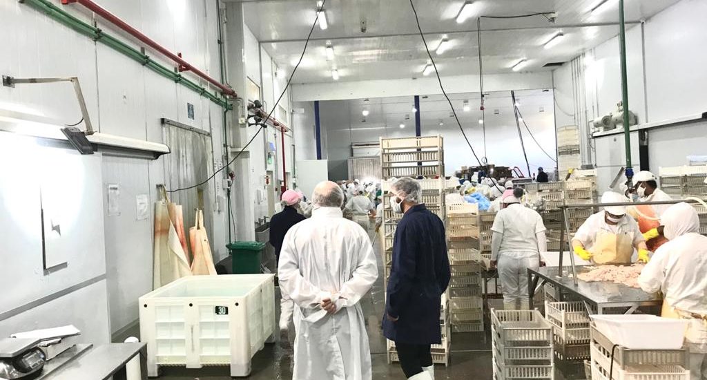 SE REDUJERON LOS DERECHOS DE EXPORTACIÓN PARA EL SECTOR PESQUERO