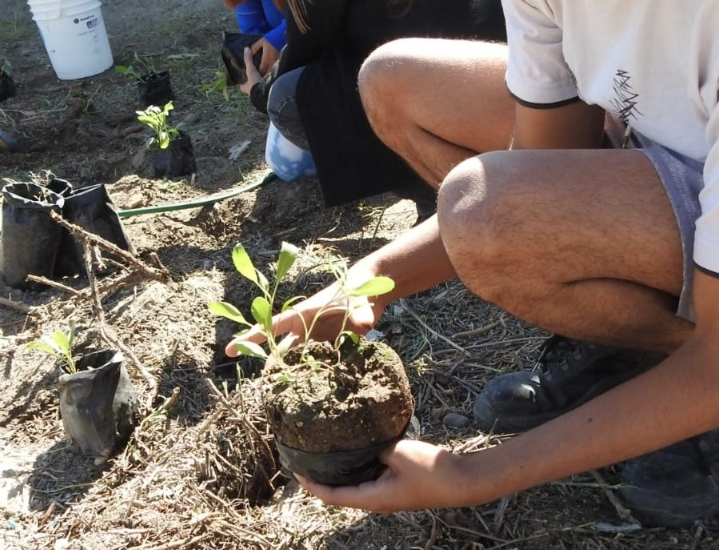 TALLER PARA ADOLESCENTES SOBRE REHABILITACIÓN DE VEGETACIÓN CON ESPECIES NATIVAS