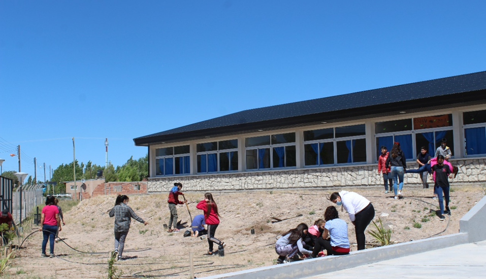 TALLER DE INTERPRETACIÓN DEL PAISAJE Y PLANTACIÓN DE ESPECIES NATIVAS EN ESCUELA DE TELSEN