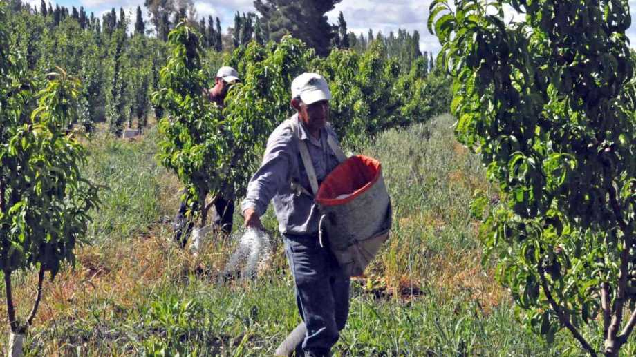 UATRE LLEGÓ A UN ACUERDO SALARIAL CON LAS CÁMARAS FRUTÍCOLAS DEL ALTO VALLE