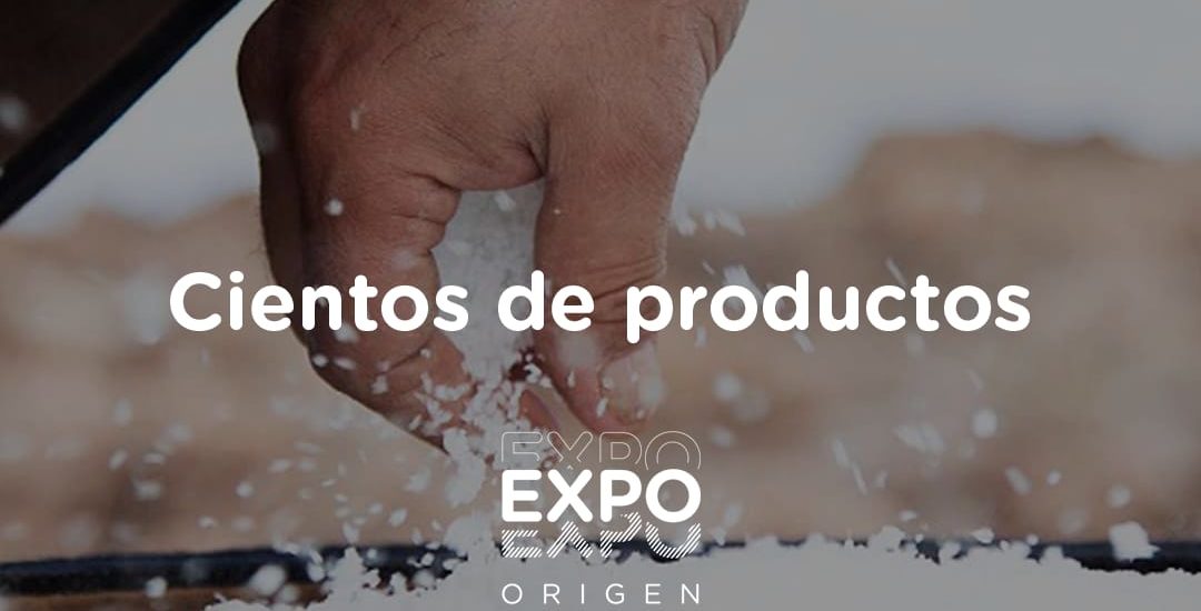 EL GOBIERNO DEL CHUBUT REALIZA VIRTUALMENTE LA EXPO ORIGEN CHUBUT